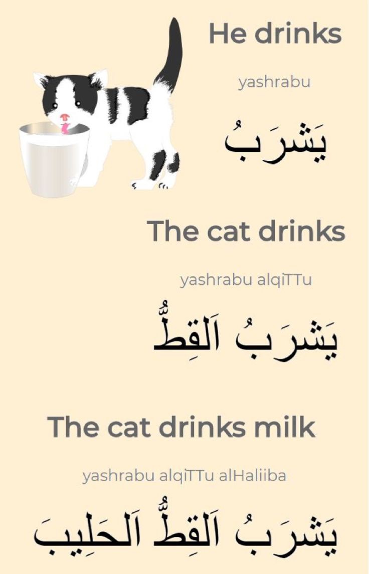 Learning Speak Arabic