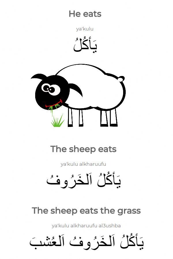Learning Speak Arabic